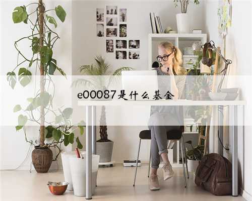 e00087是什么基金