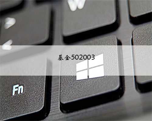 基金502003