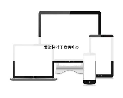 发财树叶子发黄咋办