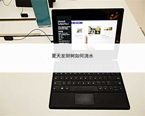 夏天发财树如何浇水