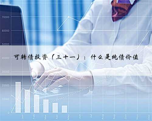 可转债投资（三十一）：什么是纯债价值