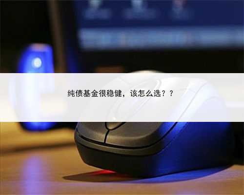 纯债基金很稳健，该怎么选？？