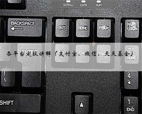 各平台定投讲解（支付宝，微信，天天基金）