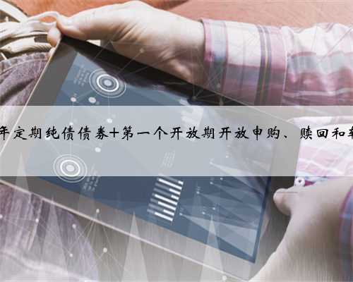 关于嘉实致业一年定期纯债债券 第一个开放期开放申购、赎回和转换 业务的公