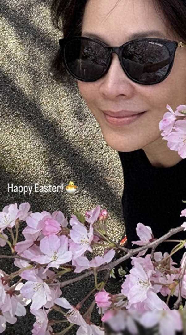 刘嘉玲陪家人赴日本赏花,78岁刘妈妈素颜出镜,家人同框一样优雅