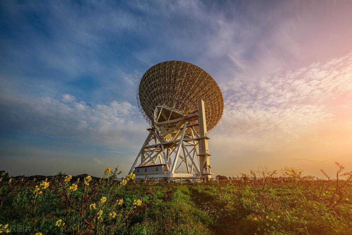 刘嘉玲陪家人赴日本赏花,78岁刘妈妈素颜出镜,家人同框一样优雅