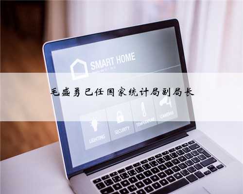 毛盛勇已任国家统计局副局长