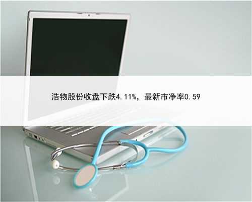 浩物股份收盘下跌4.11%，最新市净率0.59