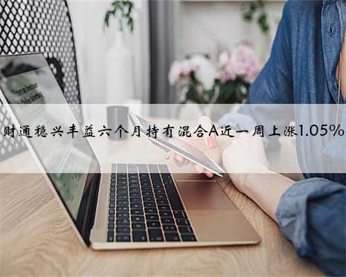 财通稳兴丰益六个月持有混合A近一周上涨1.05%