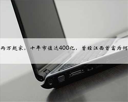 彭小峰:两万起家,十年市值达400亿,曾经江西首富为何被批捕?